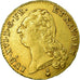 Monnaie, France, Louis XVI, Double louis d'or à la tête nue, 1787 Metz, Gad 363