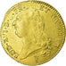 Monnaie, France, Louis XVI, Double louis d'or à la tête nue, 1789 Bordeaux