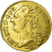Coin, France, Louis XVI, Louis d'or à la tête nue, 1785, Lyon, KM 591.5