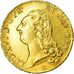 Monnaie, France, Louis XVI, Double louis d'or à la tête nue, 1786 Lille, Gad 363