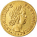 Moneda, Francia, Louis XIV, Louis d'or à la mèche courte, Louis d'Or, 1644