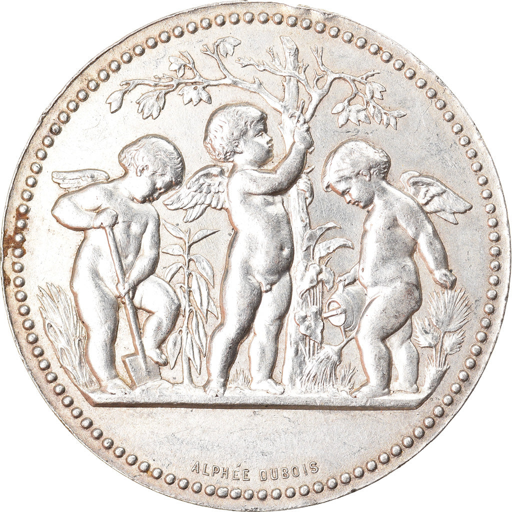 France, Médaille, Société Tourangelle d'Horticulture, Tours, Dubois, SUP