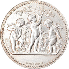 France, Médaille, Société Tourangelle d'Horticulture, Tours, Dubois, SUP