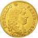 France, Louis XIV, Louis d'or à la tête nue, 1669, Paris, SUP, Or, KM:219.1