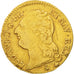 Monnaie, France, Louis XVI, Louis d'or à la tête nue, Louis d'Or, 1786, Paris