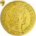 France, Louis XIV, Louis d'or à la mèche longue, 1651, Paris, PCGS AU58, KM:157