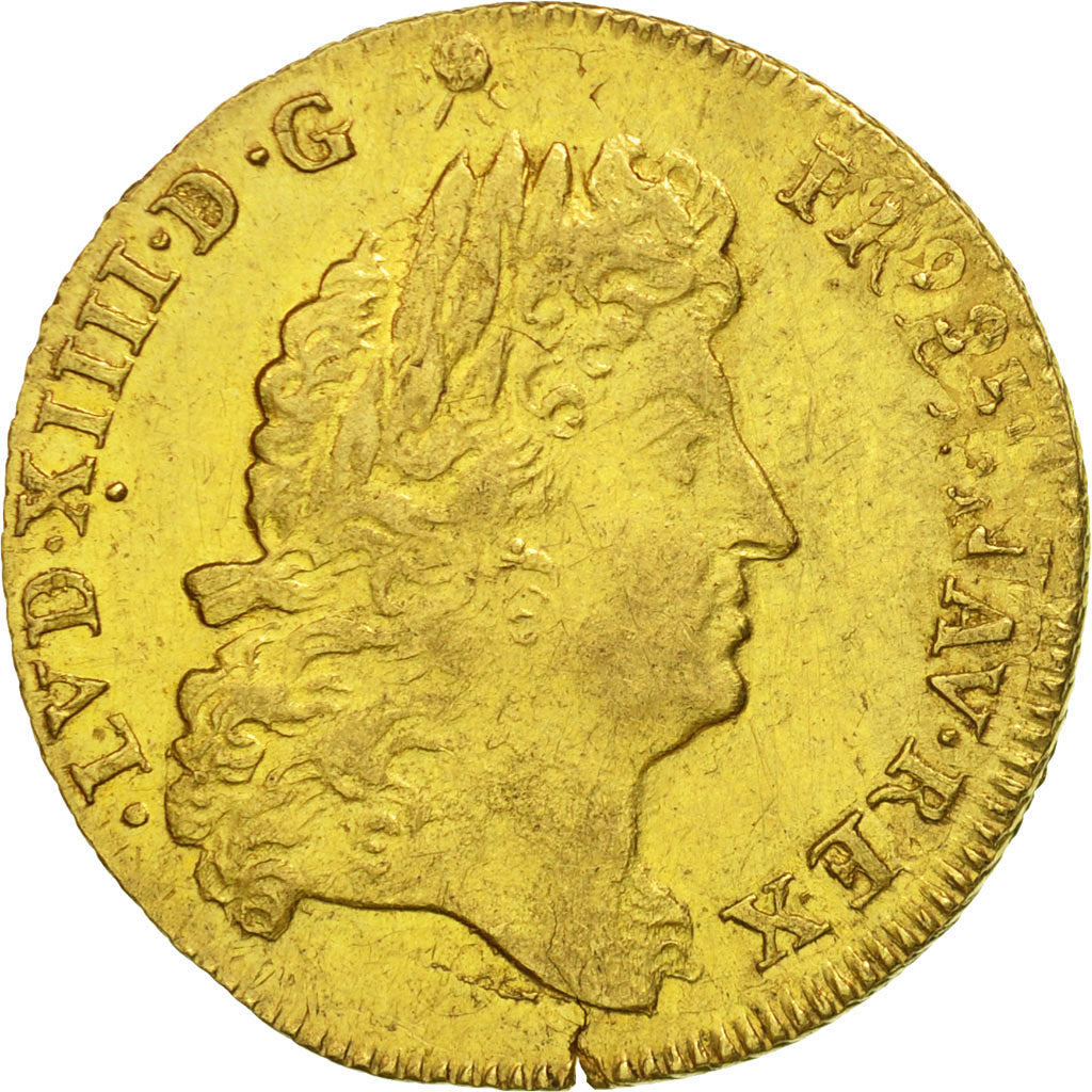 Coin, France, Louis XIV, Louis d'or à l'écu, Louis d'Or, 1691, Lille