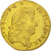 Coin, France, Louis XIV, Louis d'or à l'écu, Louis d'Or, 1691, Lille