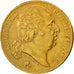 Moneda, Francia, Louis XVIII, Louis XVIII, 20 Francs, 1824, Paris, MBC+, Oro