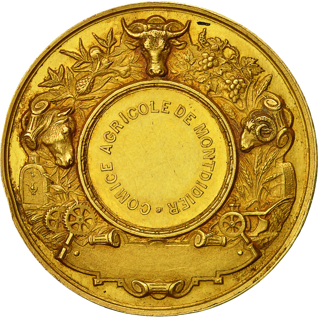 France, Medal, Napoléon III - Comice Agricole de Montdidier, Desaide