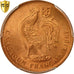 Cameroon, 50 Centimes, 1943, Pretoria, PCGS, MS66RD, Bronze, KM:6