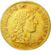 Coin, France, Louis XIV, Louis d'or à la tête nue, Louis d'Or, 1670, Paris