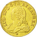 Coin, France, Louis XV, Louis d'or aux lunettes, Louis d'Or, 1738, Lyons