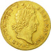 Coin, France, Louis XIV, Louis d'or aux 8 L et aux insignes, Louis d'Or, 1702