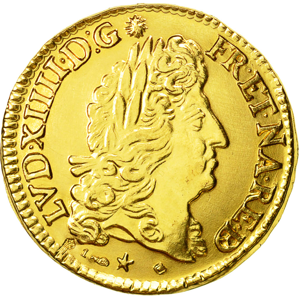 Coin, France, Louis XIV, Refrappe Louis Béarn, Medal, 1691, Pau, MS(63), Gold