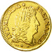 Coin, France, Louis XIV, Refrappe Louis Béarn, Medal, 1691, Pau, MS(63), Gold