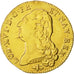 Coin, France, Louis XVI, Double louis d'or à la tête nue, 1786, Lyon