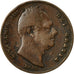 Coin, Great Britain, William IV, Farthing, 1835, VF(30-35), Copper, KM:705