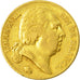 Monnaie, France, Louis XVIII, Louis XVIII, 20 Francs, 1822, Lille, TTB, Or