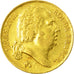Coin, France, Louis XVIII, Louis XVIII, 20 Francs, 1824, Perpignan, EF(40-45)