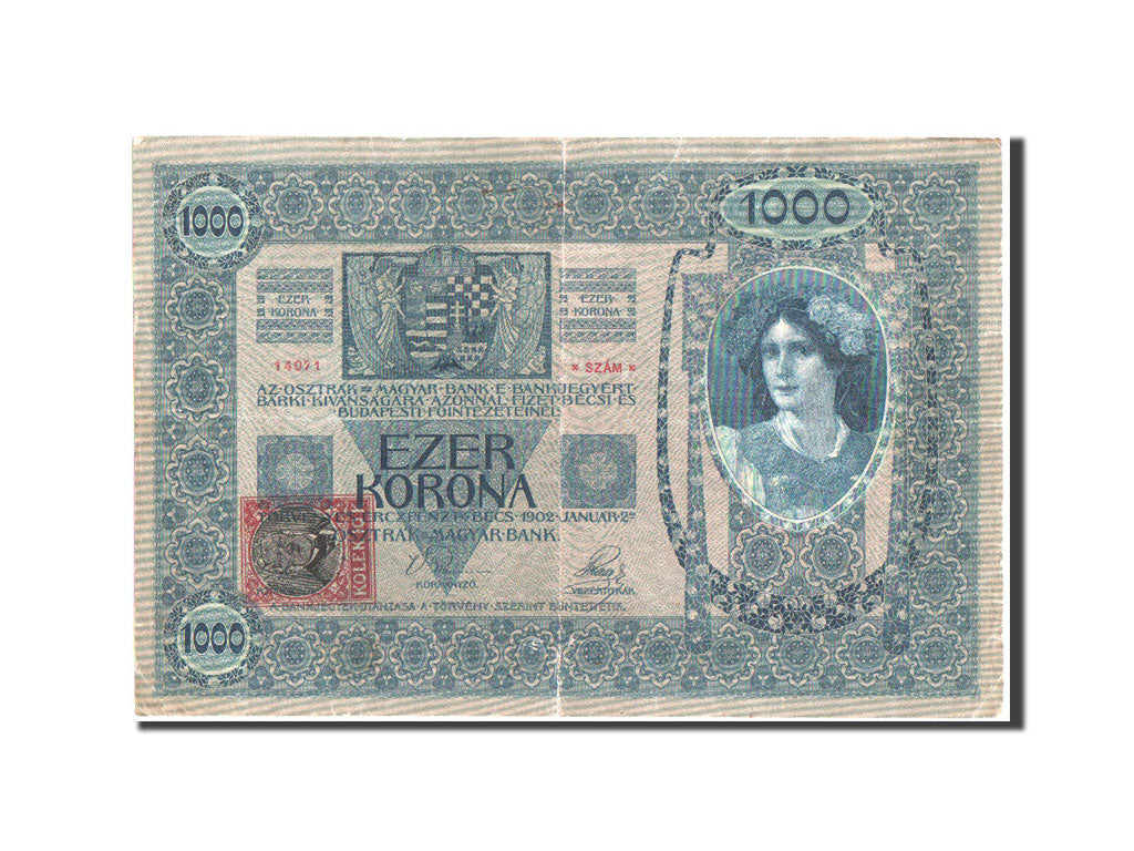 Cecoslovacchia, 1000 Korun, 1919, KM:5, MB+