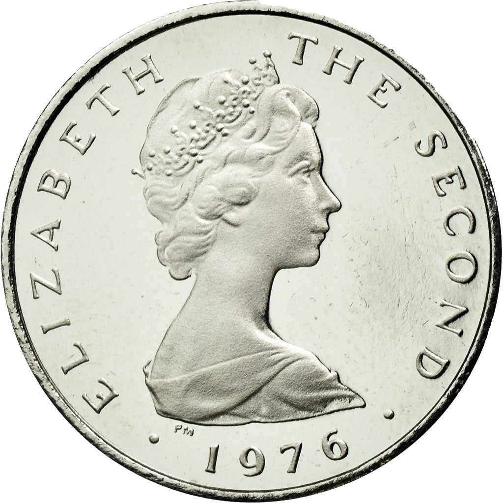 Coin, Isle of Man, Elizabeth II, Penny, 1976, MS(63), Platinum, KM:33b