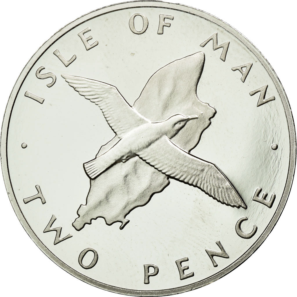 Coin, Isle of Man, Elizabeth II, 2 Pence, 1976, MS(63), Platinum, KM:34b