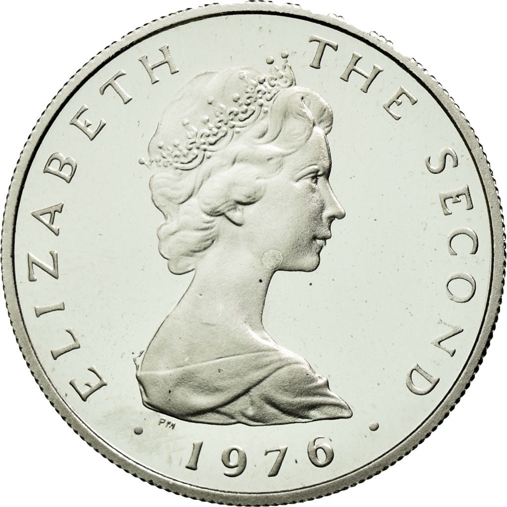 Monnaie, Isle of Man, Elizabeth II, 5 Pence, 1976, SPL, Platinum, KM:35.1b