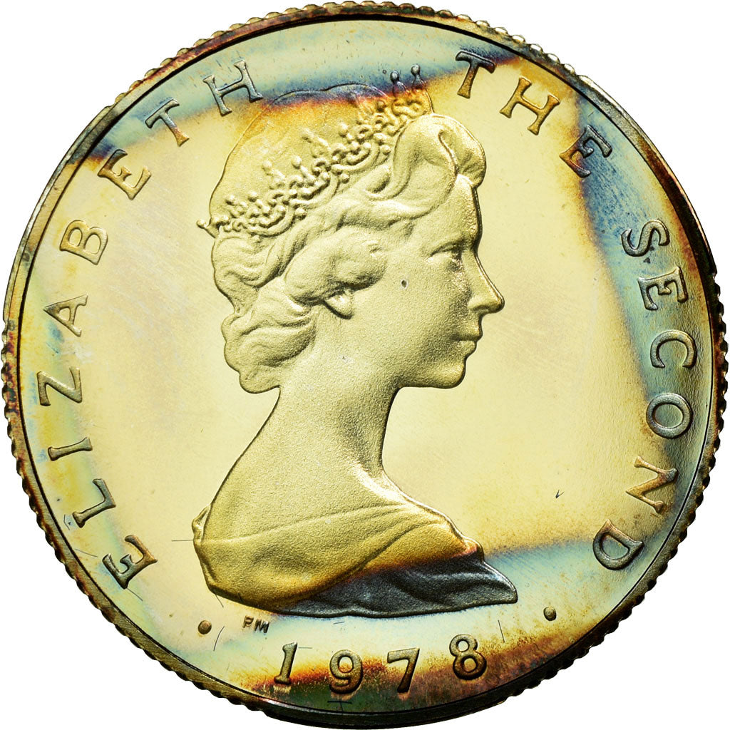 Coin, Isle of Man, Elizabeth II, Sovereign, Pound, 1978, MS(63), Silver, KM:44a