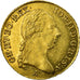 Coin, Austria, Joseph II, Ducat, 1786, Vienna, AU(55-58), Gold, KM:1873