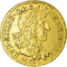 Monnaie, France, Louis XIV, Louis d'or au buste juvénile, 1662, Montpellier