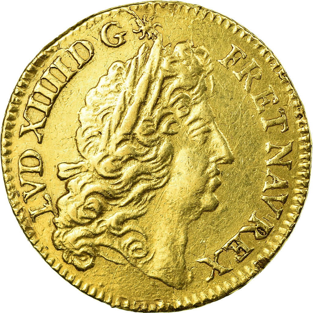 Moneda, Francia, Louis XIV, Louis d'or à l'écu, Louis d'Or, 1690, Paris, MBC