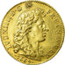 Coin, France, Louis XIV, Louis d'or à la tête nue, Louis d'Or, 1669, Paris
