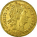 Monnaie, France, Louis XIV, Louis d'or aux 8 L et aux insignes, 1702,Montpellier