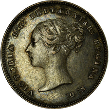 Coin, Great Britain, Victoria, 4 Pence, Groat, 1877, MS(60-62), Silver, KM:732