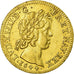 Coin, France, Louis XIV, Louis d'or à la mèche courte, 1644, Paris