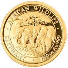 Coin, Somalia, 20 Shillings, 2013, MS(65-70), Gold