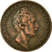 Coin, Sweden, Oscar I, 4 Skilling, 1849, EF(40-45), Copper, KM:672