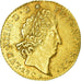 Moneta, Francja, Louis XIV, Louis d'or aux insignes, Louis d'Or, 1704, Lille
