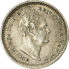 Coin, Great Britain, William IV, 1-1/2 Pence, 1834, EF(40-45), Silver, KM:719