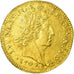 Monnaie, France, Louis XIV, Louis d'or aux 8 L et aux insignes, 1702, Bordeaux