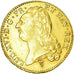 Moneta, Francia, Louis XVI, Double louis d'or à la tête nue, 2 Louis D'or