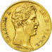 Moneda, Francia, Charles X, 20 Francs, 1826, Perpignan, MBC, Oro, KM:726.2