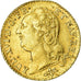 Coin, France, Louis XVI, Louis d'or à la tête nue, Louis d'Or, 1788, Lyon