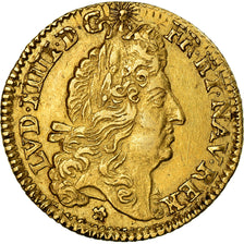 Münze, Frankreich, Louis XIV, 1/2 Louis d'or, 1691, La Rochelle, SS, Gold