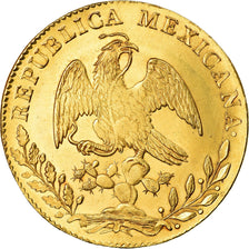 Moneta, Messico, 8 Escudos, 1857, Mexico City, SPL-, Oro, KM:383.9