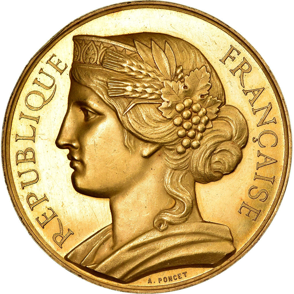 França, Medal, Marianne, Exposition de Clermont-Ferrand, 1880, Poncet, MS(63)