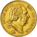 Moeda, França, Louis XVIII, Louis XVIII, 40 Francs, 1816, Perpignan, EF(40-45)