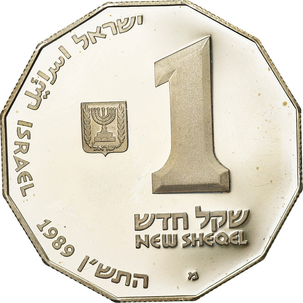 Coin, Israel, New Sheqel, 1989, Stuttgart, AU(55-58), Silver, KM:203