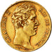 Moeda, França, Charles X, 20 Francs, 1825, Paris, AU(50-53), Dourado, KM:726.1